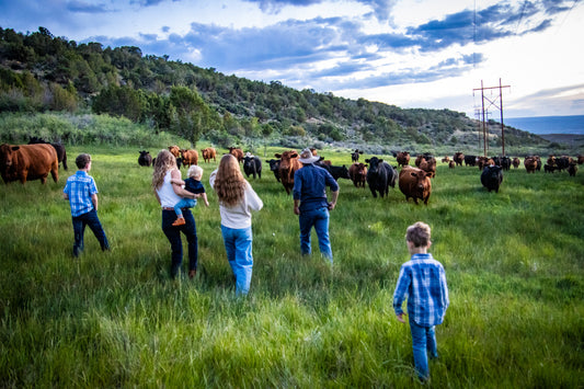 6 Reasons to Say Yes to a Beef Share