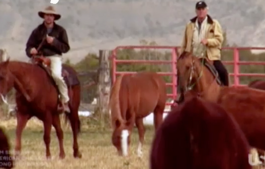 Have you heard the news? Fed wants to track cattle