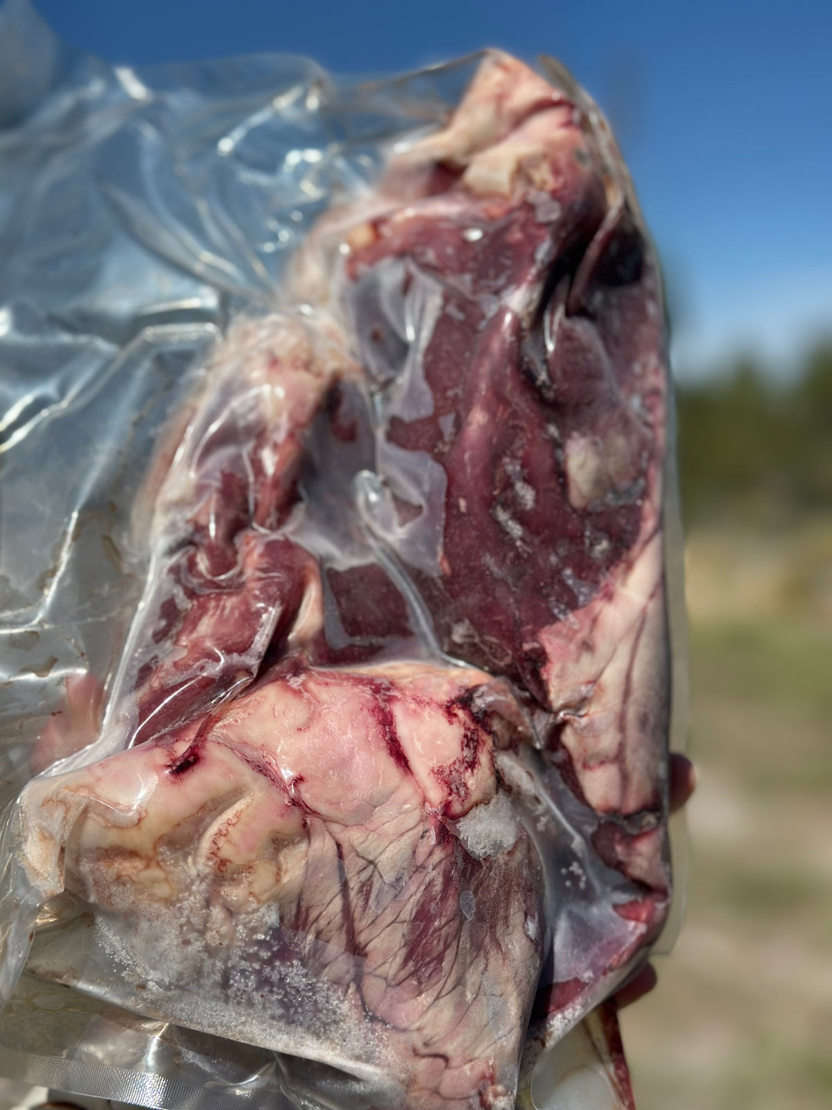 Beef Organ Box – 10 lb